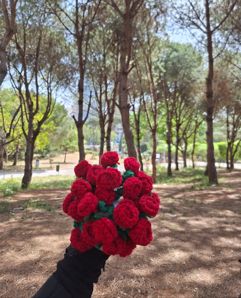 Mini  red flower blanket 🌹
